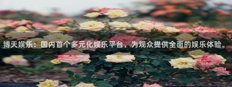 万事娱乐登录：博天娱乐：国内首个多元化娱乐平台，为观众提供全面的娱乐体验。
