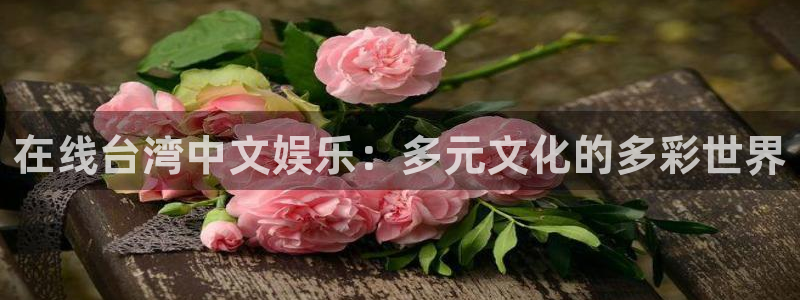 万事娱乐：在线台湾中文娱乐：多元文化的多彩世界