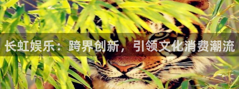 万事娱乐登录地址：长虹娱乐：跨界创新，引领文化消费潮流