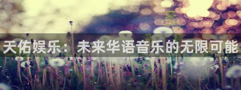 万事娱乐：天佑娱乐：未来华语音乐的无限可能