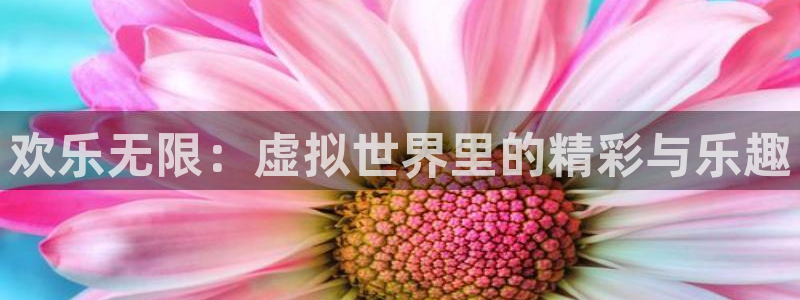 万事娱乐登录地址：欢乐无限：虚拟世界里的精彩与乐趣