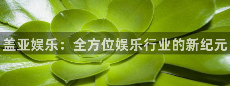 万事娱乐登录地址：盖亚娱乐：全方位娱乐行业的新纪元