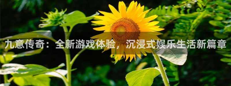 万事娱乐登录：九意传奇：全新游戏体验，沉浸式娱乐生活新篇章