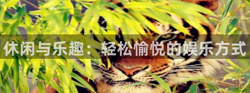 万事娱乐登录：休闲与乐趣：轻松愉悦的娱乐方式